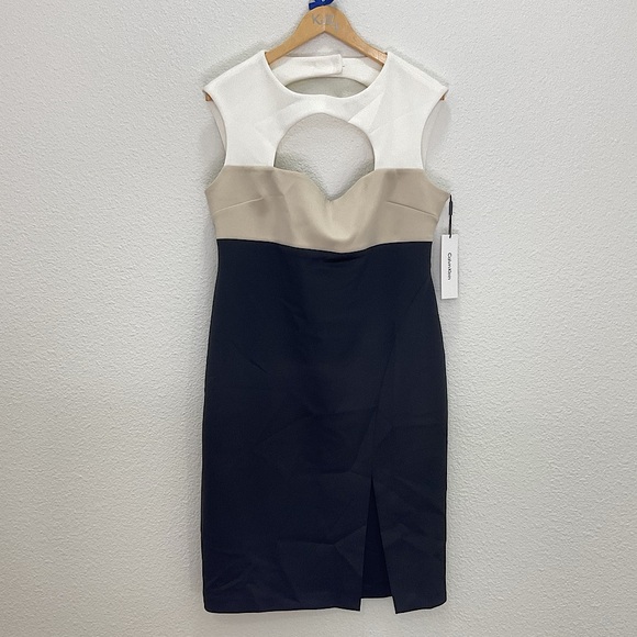 PLUS NWT Calvin Klein Color Block Sheath Dress - Picture 1 of 7